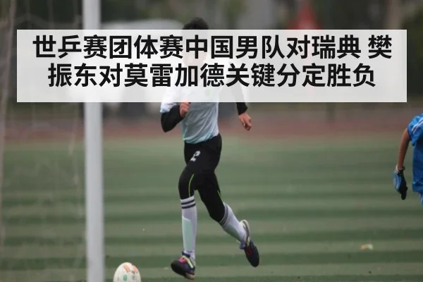 世乒赛团体赛中国男队对瑞典 樊振东对莫雷加德关键分定胜负